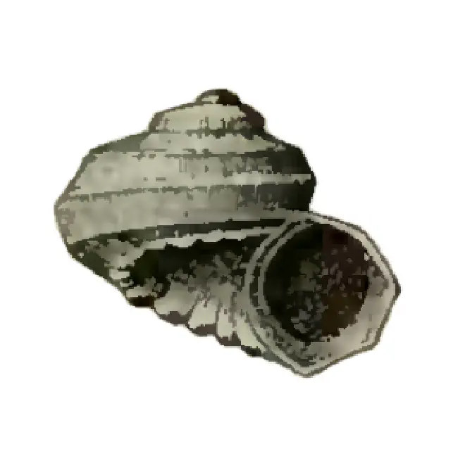 Specimen of Arene agenea figured by Dall (1892, pl. 23, fig. 3); 2.5 mm in length.